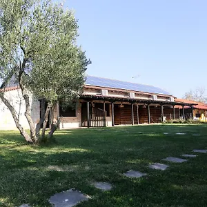 Gioulis & Studios Nea Plagia